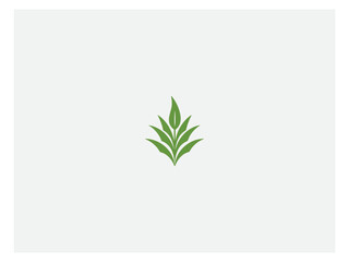 Corn plant logo vector, logo design, vector and illustration,
