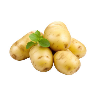 fresh potatoes isolated or white background
