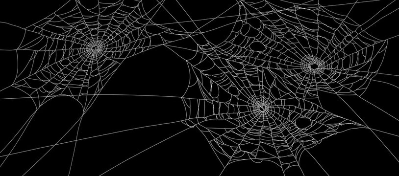 Composition of spider web on black background