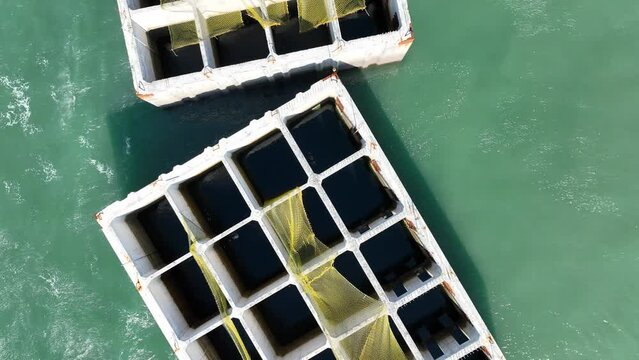 A box caisson is a prefabricated concrete box.