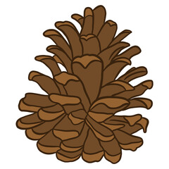 Pine Cone