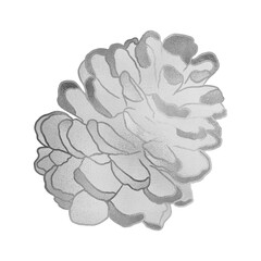 Silver Pine Cone Illustration