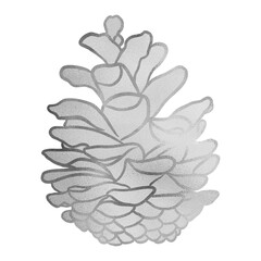 Silver Pine Cone Drawing