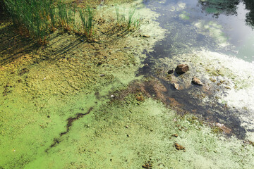 river stream became polluted swamp with bog and oil secondary processing of human activity, nature disaster ecological problems concept
