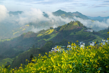 The spring scenery in the south of anhui