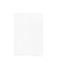Torn paper edges. Ripped paper texture. Paper tag. White paper sheet for background with clipping path. Close up.