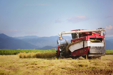 Autumn scenery with rice and grains bearing fruit in golden rice paddies and fields and farmers harvesting rice with combines and agricultural machinery, and the concept of Chuseok and a good harvest
