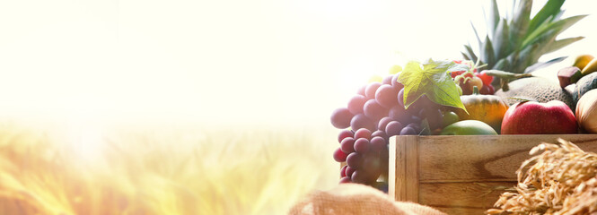 Rich Chuseok holiday and church Thanksgiving fruit decorations, various crops and vegetables, and harvest season ripe golden rice and barley fields farm autumn scenery, banner background
