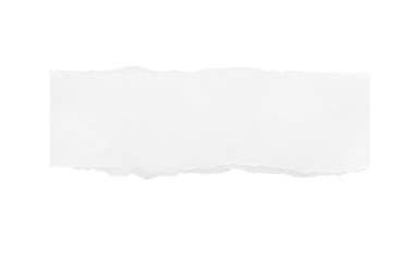 Torn paper edges. Ripped paper texture. Paper tag. White paper sheet for background with clipping path. Close up.