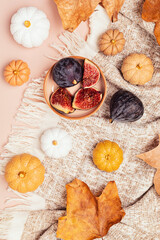 Autumn background with pumpkins, fall leaves and plaid cover in natural pastel colors.  Seasonal holidays background