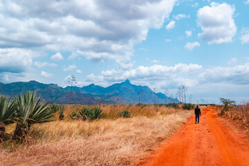 Rear view of a man walking on a dirt in a sisal palntation with Uluguru Mountains in the background at Mororgoro Town, Tanzania - obrazy, fototapety, plakaty
