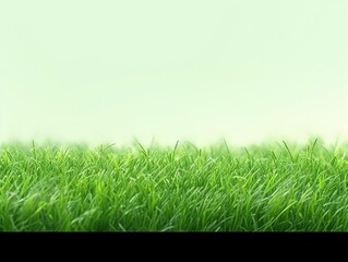 Close-up of vibrant green blades of grass set against a crisp background.