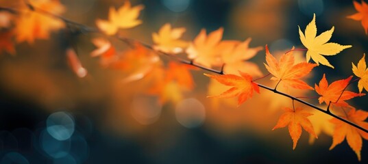 Close up of autumn leaves with motion blur,