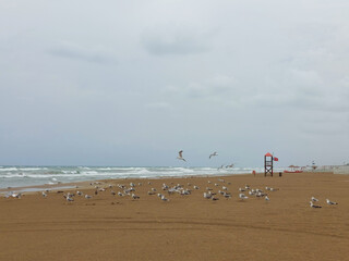 Stormy day on the beach. Rescuer s house on the beach.