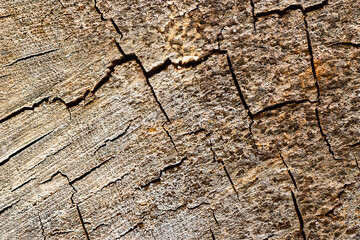 Cracks in the cut of the tree. Colored wooden background.