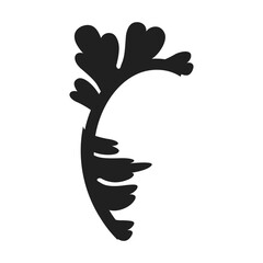 elements floral vintage ornaments