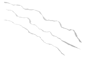 Crooked torn white paper edge