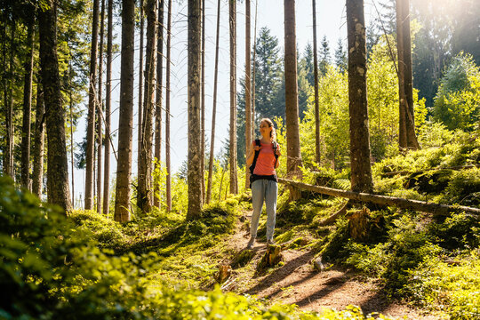 Woman hiking in forest on sunny day