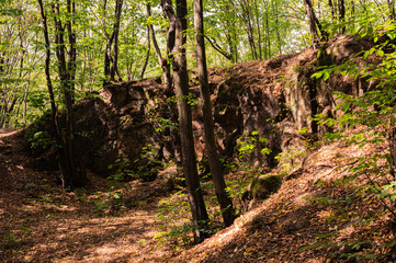 Rocky sunny wall hill in green forest, covered with yellow dry leafs. Scenic, beautiful, background, postcard view, wallpaper, Vinnytsia, Ukraine