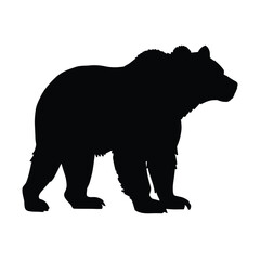 Bear Silhouette on White