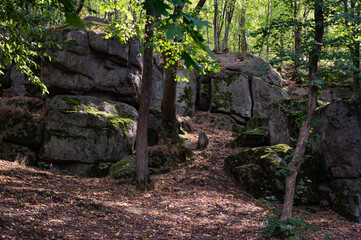 Gray rocks with moss and trees in beautiful summer autumn forest. Scenic background, wallpaper