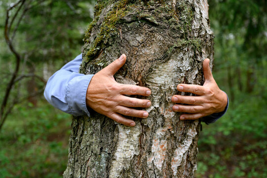 Man's hands hugging tree in forest
