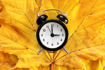 Back to school. Classic black and white alarm clock on bright yellow maple autumn leaves. Concept of change seasons, daylight saving time. Goodbye autumn. Discounts and sale. Natural background