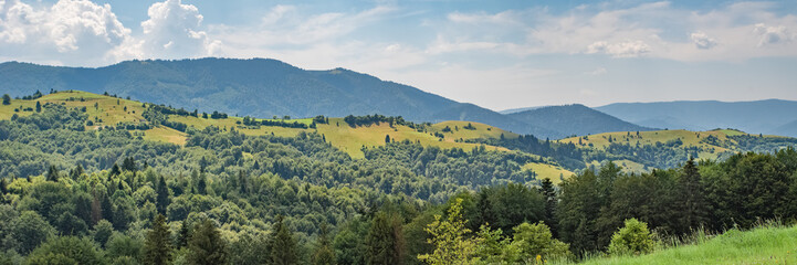 Fototapeta na wymiar panorama of green mountains covered with green forest and hills.