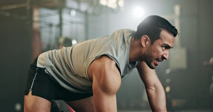 Asian man, dumbbell and weightlifting in fitness, workout or arm exercise on bench at indoor gym. Serious male person, bodybuilder or athlete lifting weight for intense training, strength and muscle