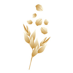 Oats on a white background. Vector