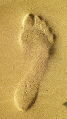 Foot Print 족적