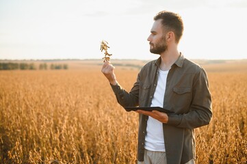 Portrait of farmer standing in soybean field at sunset.