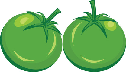  green tomatoes vector