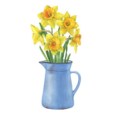 Old blue enamel water pitcher with yellow narcissus flowers (daffodil, easter bell, jonquil, lenten lily). Floral botanical picture. Hand drawn watercolor painting illustration isolated on white - obrazy, fototapety, plakaty