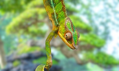 The chameleon is a fascinating and highly specialized reptile known for its remarkable ability to change the color of its skin and its distinctive appearance. 