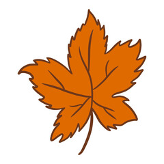 Maple Leaf Drawing