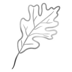 Silver Fall Leaf Drawing