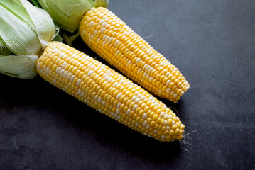 Fresh three Corn on the cob on dark table, prepared for baking