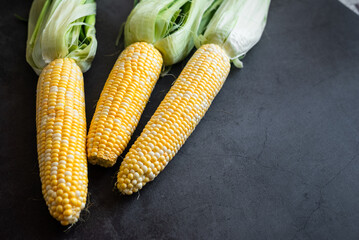 Fresh three Corn on the cob on dark table, prepared for baking