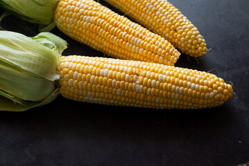 Fresh three Corn on the cob on dark table, prepared for baking
