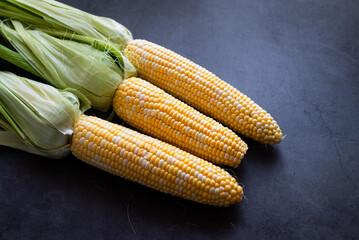 Fresh three Corn on the cob on dark table, prepared for baking