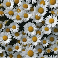A meadow of daisies forming a giant, swirling, hypnotic pattern that seems to move in the breeze3