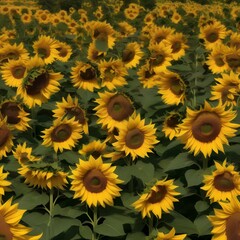 A field of sunflowers that follow the path of the sun, creating a mesmerizing dance of petals and light4