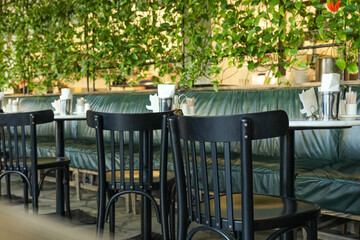Modern cozy cafe with live green decorations