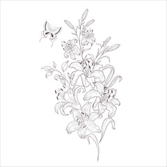 Wedding Bouquet with Lily. Line Art Illustration. - 646304504