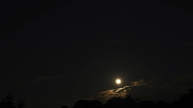 Timelapse of the rare bluemoon rising behind the cover of forest
