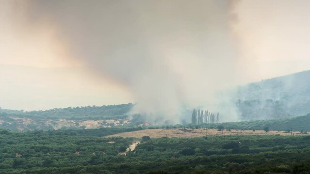 4K Wildfire Timelapse video Smoke Large Brush Fire Close Shot Greece Summer