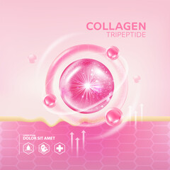 Collagen tripeptide Serum Skin Care Cosmetic