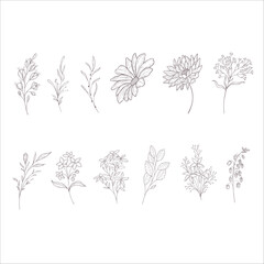 Set of Flowers and Branches. Line Art Illustration.