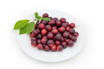 Red cherry plums with cherry plum tree twig on dish